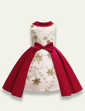 Satin Star Sequined Party Dress