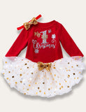 Christmas Printed Mesh Tutu Skirt Set