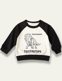 Dinosaur Series Long Sleeve T-Shirt - Bebehanna