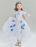 Frozen Elsa Princess Butterfly Mesh Dress - Bebehanna