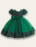 Sparkling Fluffy Gorgeous Party Dress - Bebehanna