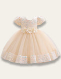 Sparkling Fluffy Gorgeous Party Dress - Bebehanna