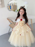 Long Floor LED Fancy Dress - Bebehanna