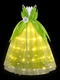 Princess Tiana Light Up Fairy Mesh Dress For Girls - Uporpor - Bebehanna