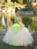 Princess Tiana Light Up Fairy Mesh Dress For Girls - Uporpor - Bebehanna