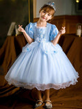 Sparkling Cinderella Princess Costume Party Dress-Up - Uporpor - Bebehanna