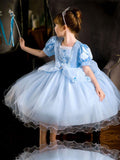 Sparkling Cinderella Princess Costume Party Dress-Up - Uporpor - Bebehanna