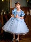 Sparkling Cinderella Princess Costume Party Dress-Up - Uporpor - Bebehanna